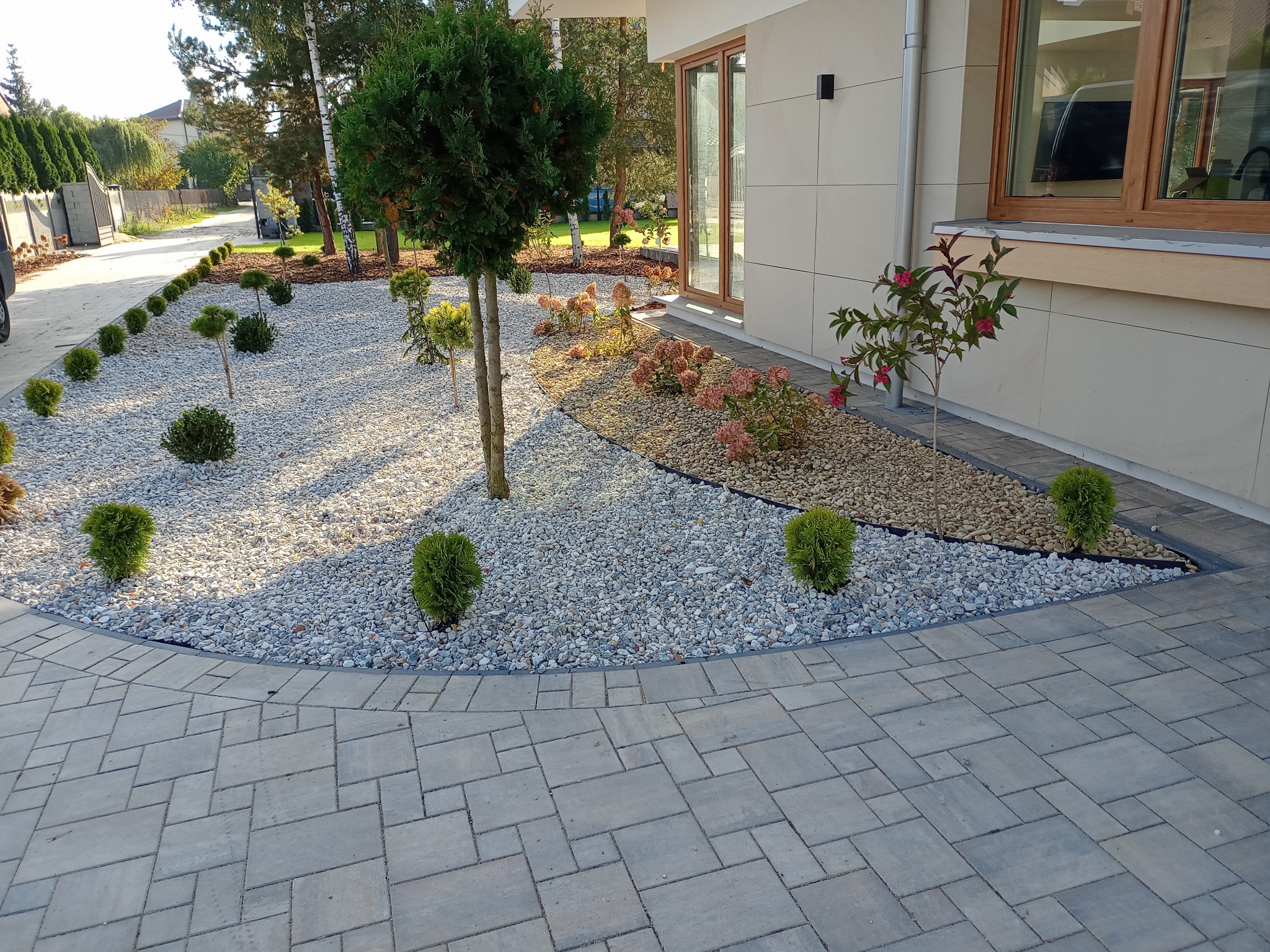 Nowoczesny ogród z nasadzeniami: kuliste tuje, drzewka formowane, hortensje i kamień ozdobny, obrzeże z kostki brukowej.