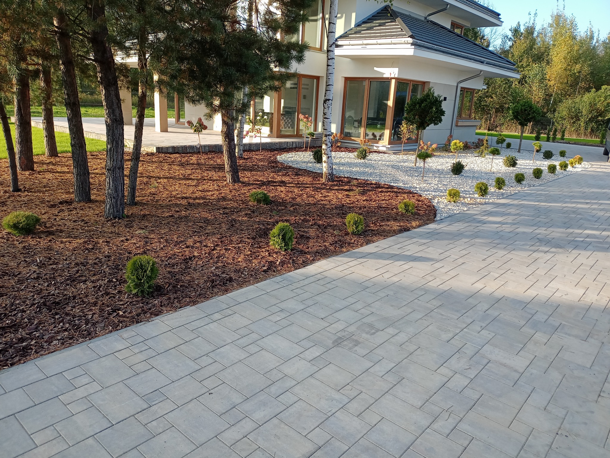 Ułożony z szarej kostki brukowej podjazd prowadzący do nowoczesnego domu z białymi ścianami i ciemnym dachem, obok rabata wysypana korą i białym kamieniem z młodymi drzewkami i kulistymi krzewami.