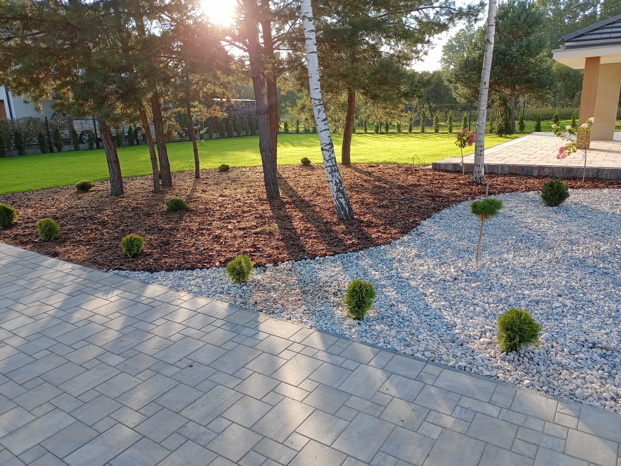 Uporządkowany ogród z korą, białym żwirem i niskimi krzewami ozdobnymi, widok z perspektywy chodnika z kostki brukowej, promienie słoneczne przebijają przez drzewa.