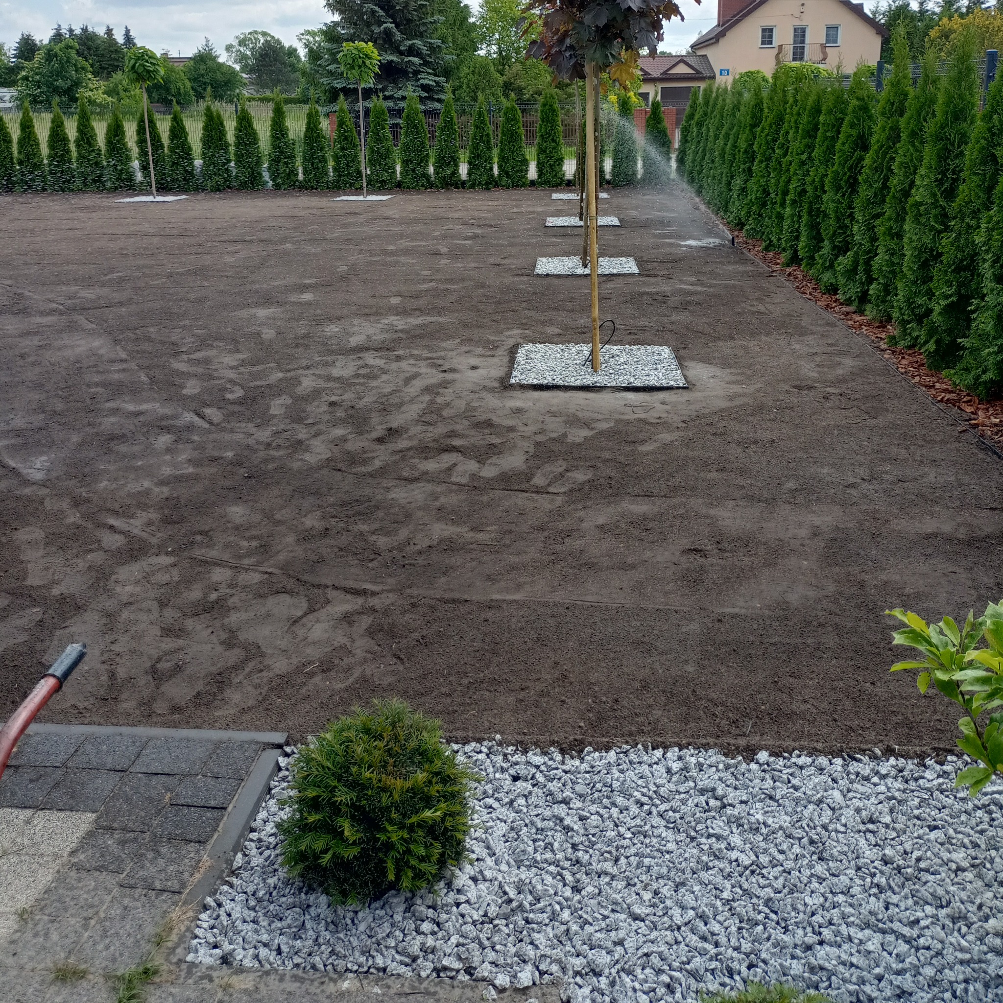 Przygotowany teren pod trawnik z nasadzeniami drzew, systemem nawadniania w trakcie działania i obrzeżem z kamienia ozdobnego.