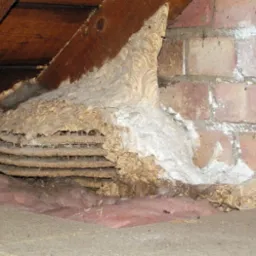 Duże gniazdo os w rogu poddasza, częściowo pokryte białym proszkiem, widoczne drewniane elementy konstrukcyjne i mur z czerwonej cegły.