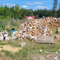 Wycinka drzew Gorzów Wielkopolski 1