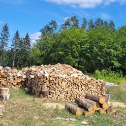 Wycinka drzew Gorzów Wielkopolski 2