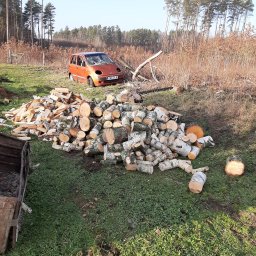 Wycinka drzew Gorzów Wielkopolski 3