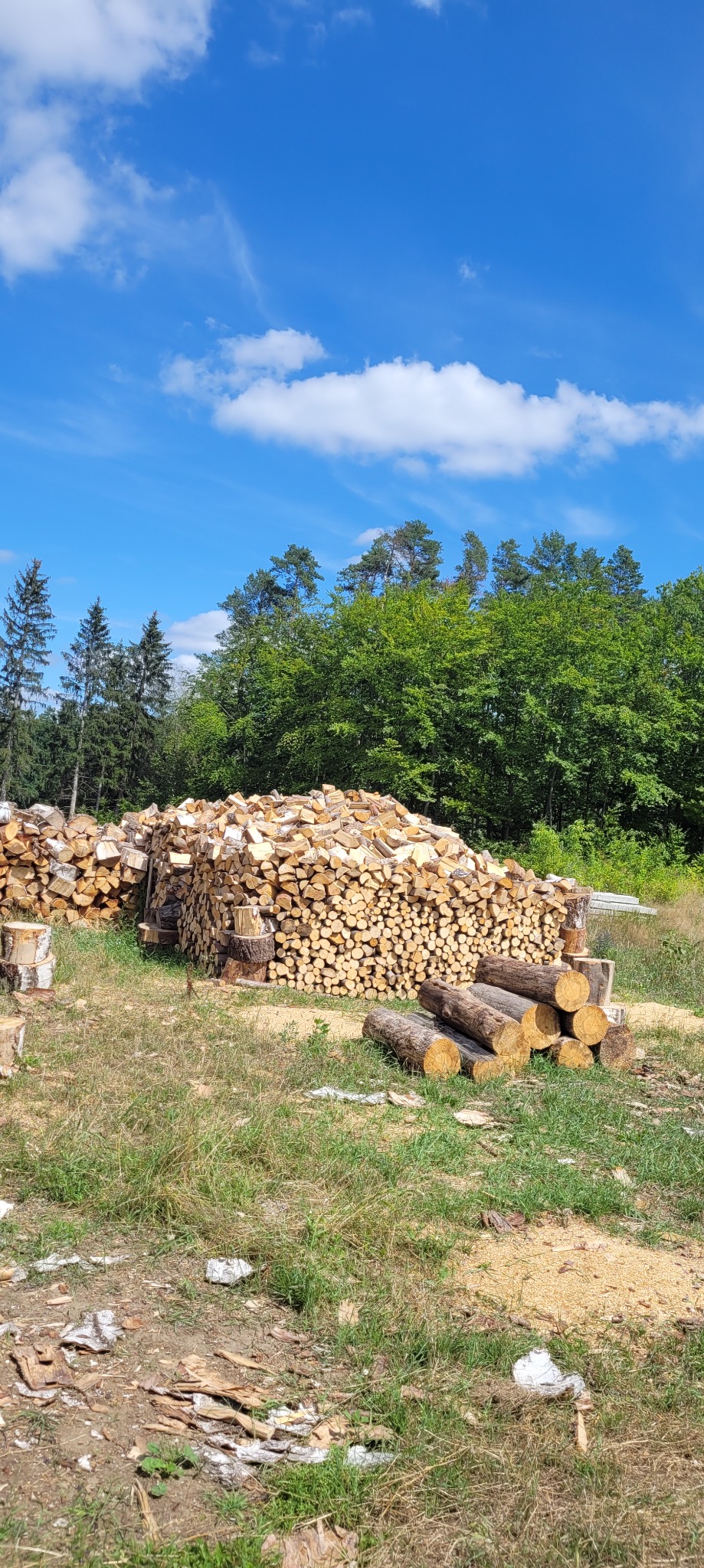 Stos pociętego drewna na trawiastym terenie, w tle las i błękitne niebo z chmurami. Widoczne pniaki i resztki po wycince. Słoneczny dzień.