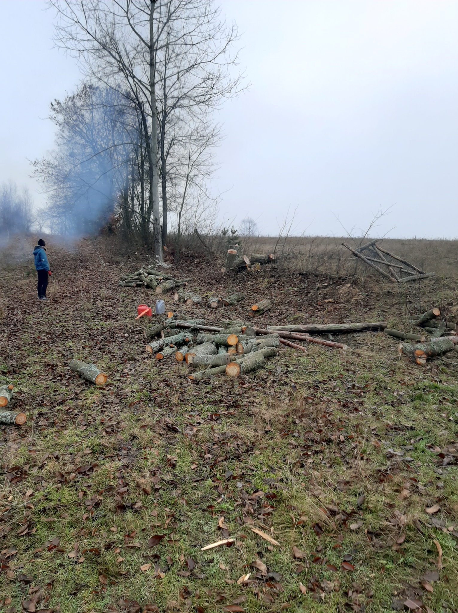 Po wycince drzew: stosy pociętych pni na zewnątrz, w tle osoba obserwuje dymiące ognisko, pochmurne niebo. Widoczne kanistry i resztki gałęzi.