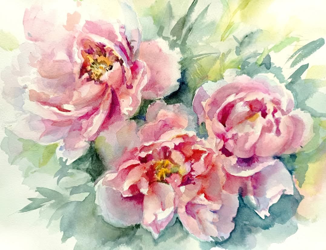Akwarelowy obraz trzech różowych piwonii z zielonymi liśćmi na białym tle, malowany delikatnymi pociągnięciami pędzla.