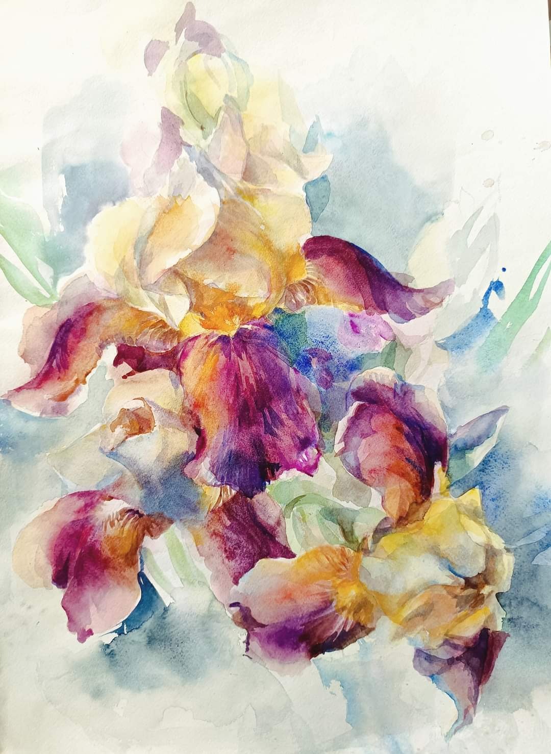 Akwarelowa ilustracja bukietu irysów w odcieniach fioletu, żółci i bieli na rozmytym, błękitnym tle. Widoczne delikatne, zielone liście i subtelne plamy farby.