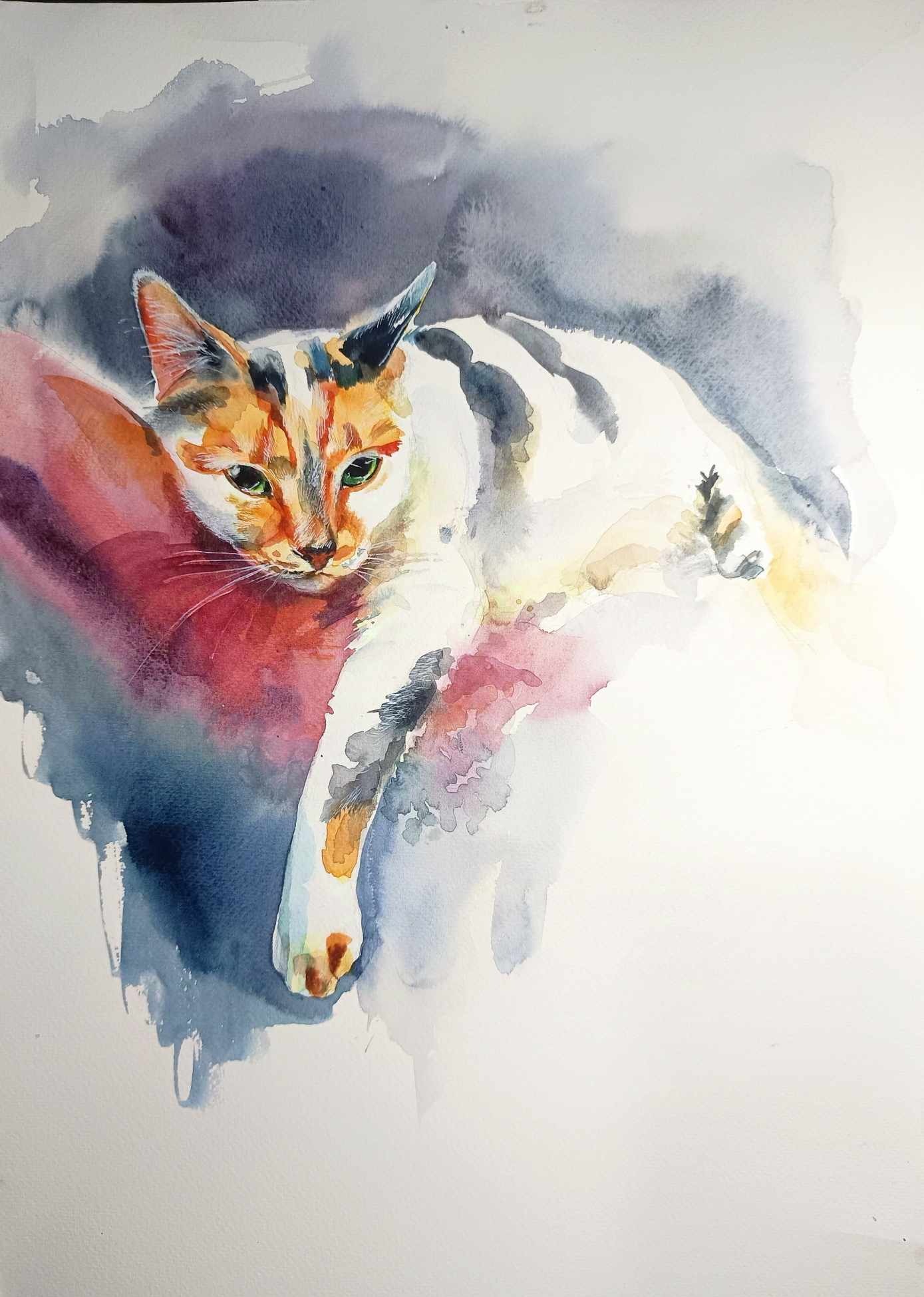 Akwarelowy portret leżącego kota o trójkolorowym umaszczeniu, z zielonymi oczami, na rozmytym, abstrakcyjnym tle w odcieniach czerwieni, błękitu i szarości.