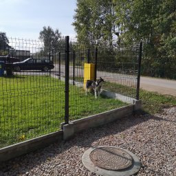 Usługi budowlane - Nowoczesne ogrodzenie panelowe z podmurówką prefabrykowaną, za którym stoi pies rasy husky, na posesji widoczny samochód i drzewa.
