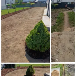 Przygotowanie terenu pod trawnik: wyrównana ziemia, obrzeża z kory, posadzona mała choinka, widoczny fragment ogrodzenia panelowego i praca ziemne w tle.