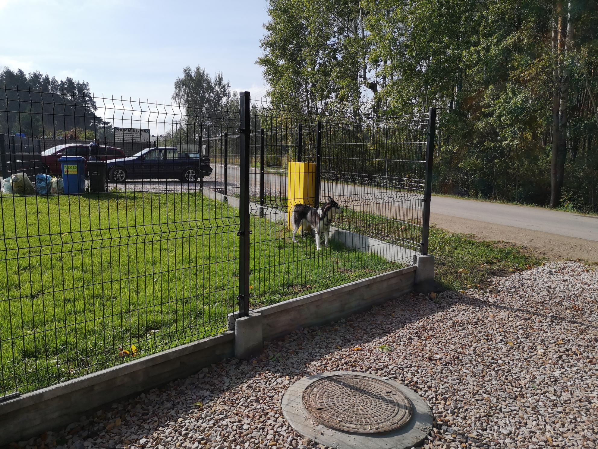 Nowoczesne ogrodzenie panelowe z podmurówką prefabrykowaną, za którym stoi pies rasy husky, na posesji widoczny samochód i drzewa.