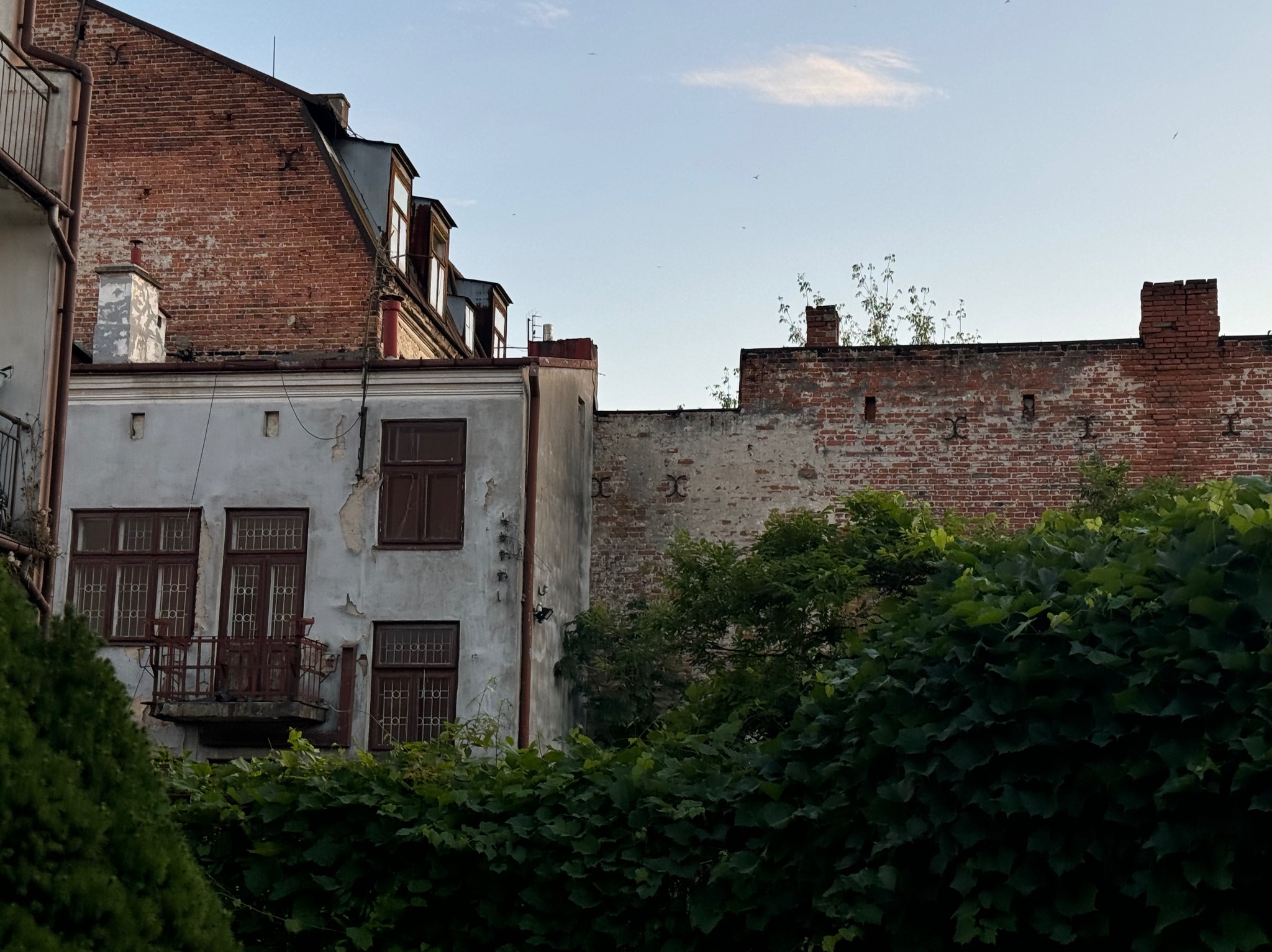 Fasada kamienicy z balkonem i oknami w Mińsku Mazowieckim, częściowo zasłonięta zielenią. Widoczne ślady upływu czasu na elewacji i ceglany budynek w tle.