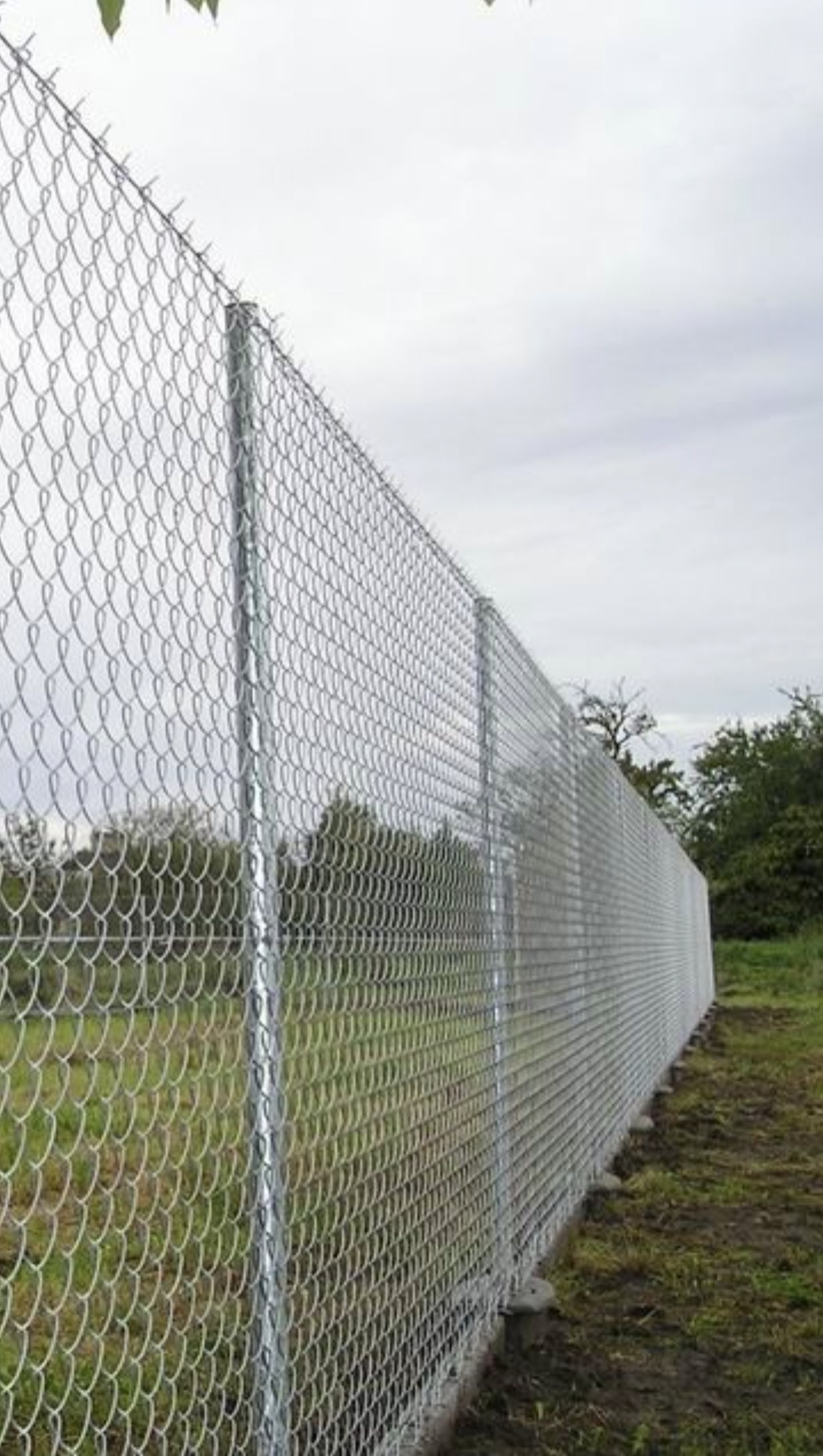 Długi, srebrny płot z siatki z metalowymi słupkami, rozciągający się wzdłuż trawnika pod pochmurnym niebem. Widok z perspektywy.