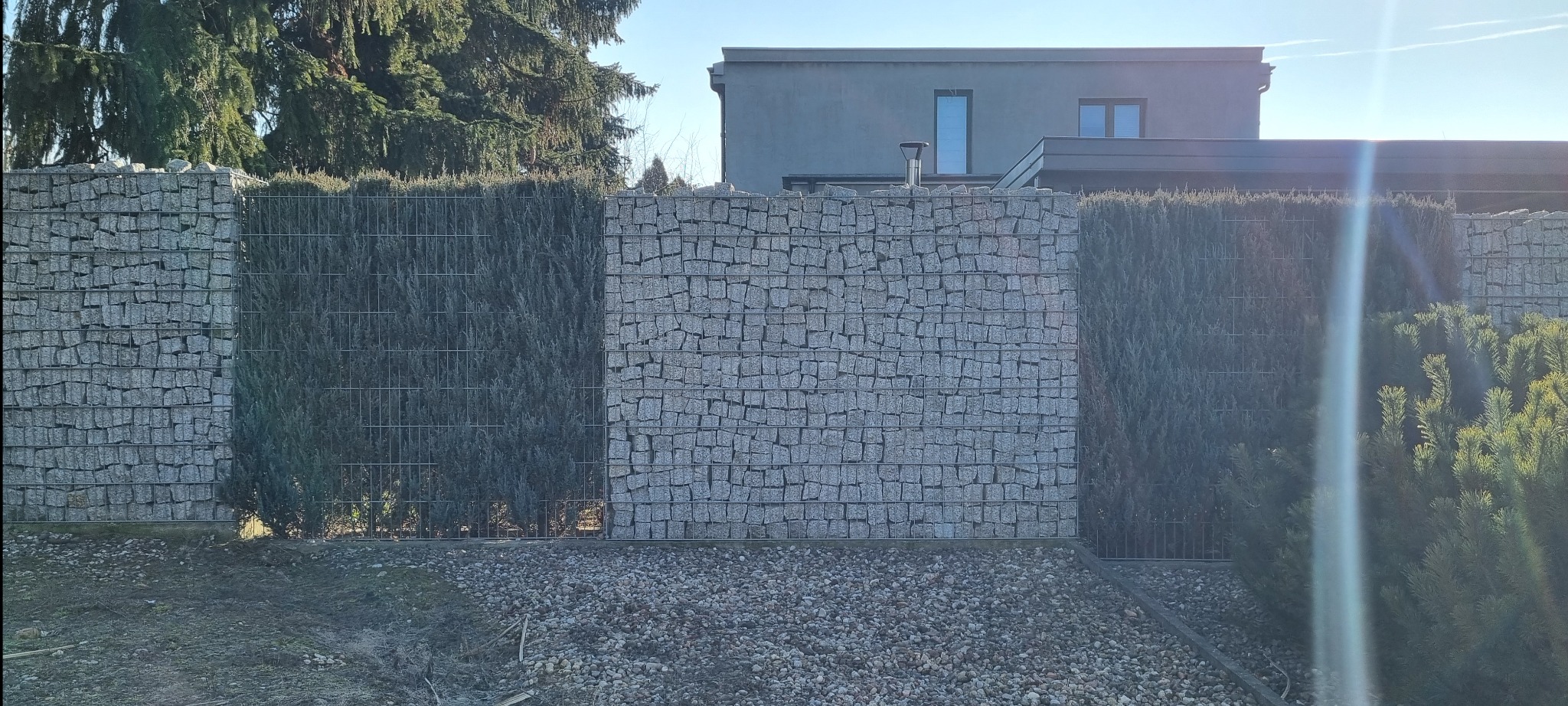 Gabionowe ogrodzenie z kamienia łamanego, przeplatane panelami z zielonych krzewów, na tle domu i drzew. Nowoczesny design.