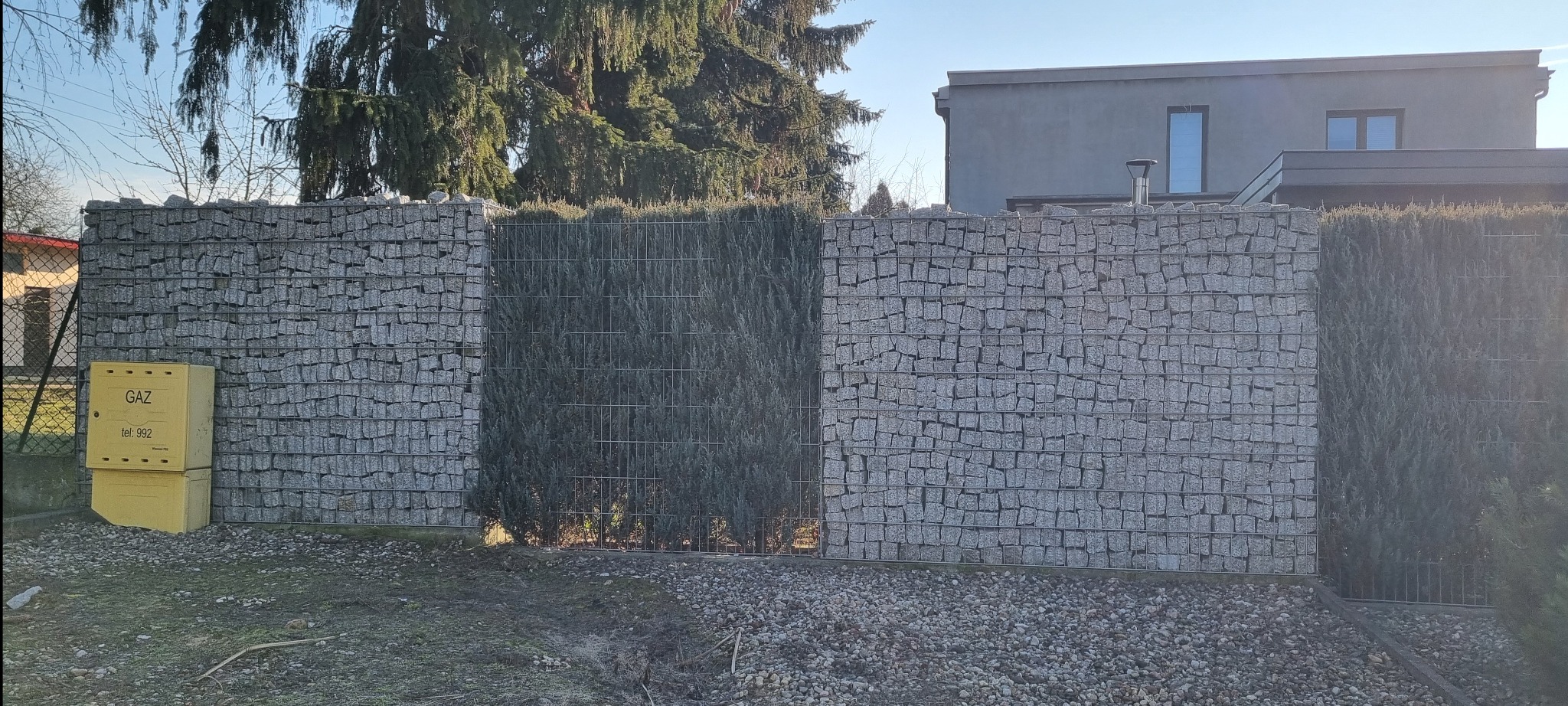 Gabionowe ogrodzenie z siatki wypełnione kamieniem, przeplatane żywopłotem z tuj, na tle domu i drzew, z żółtą skrzynką gazową po lewej stronie.
