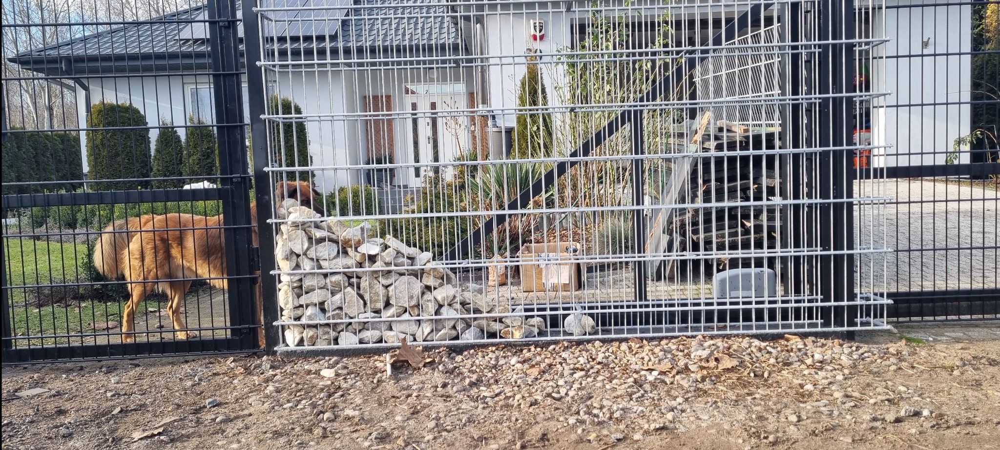 Nowoczesne ogrodzenie panelowe w kolorze czarnym i srebrnym, z widocznymi elementami kamiennymi i psem. W tle dom z panelami słonecznymi.