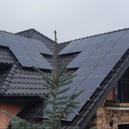 Tomasz Chabowski - Panele fotowoltaiczne zamontowane na dachu domu jednorodzinnego z czarną dachówką, widoczne zza świerku.