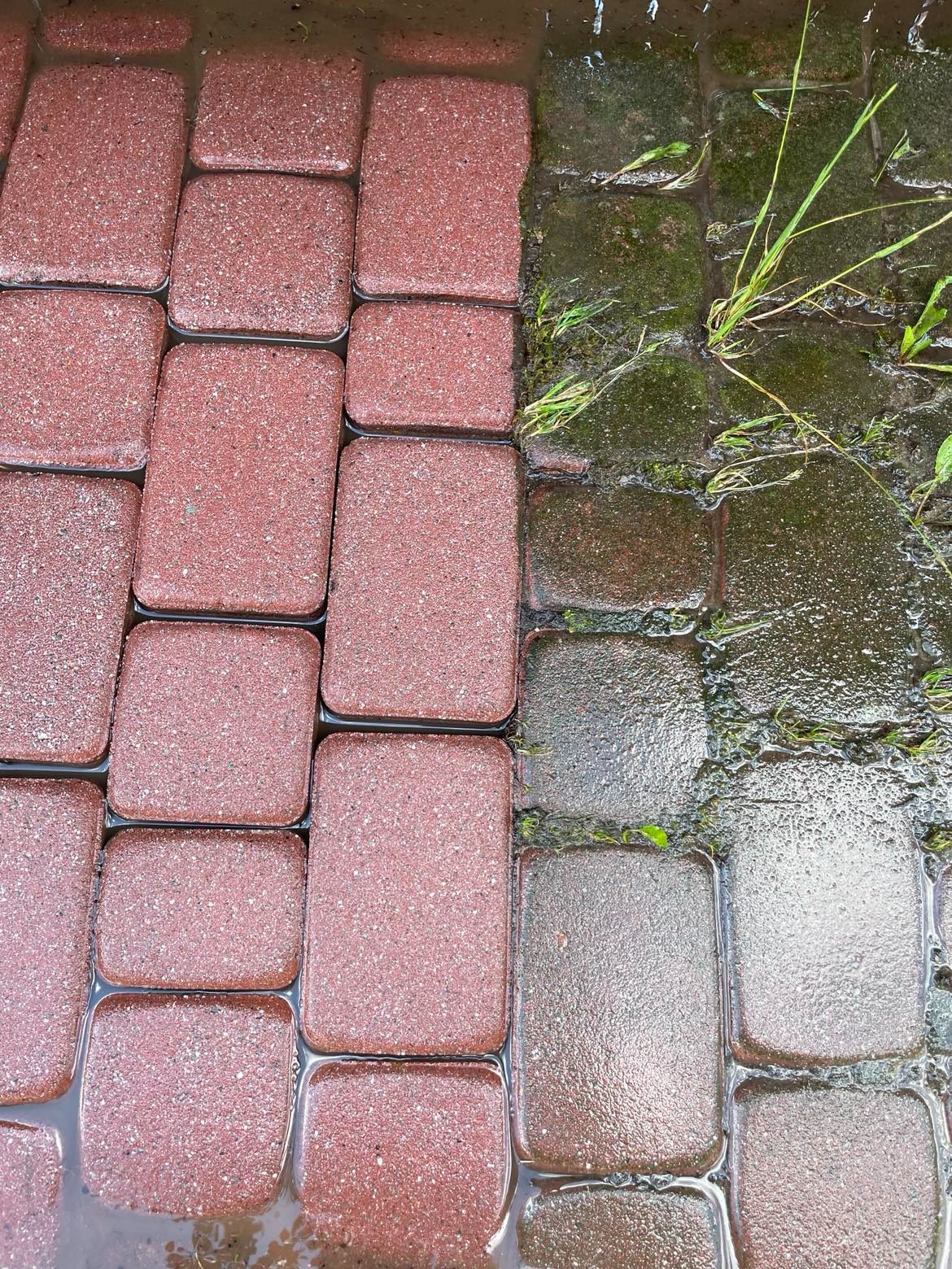Częściowo wyczyszczona, mokra kostka brukowa w kolorze czerwonym, z widocznym brudem i mchem na sąsiedniej powierzchni, na której widać źdźbła trawy.