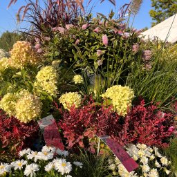 Trawa z rolki Pęcice 4