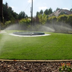 Trawa z rolki Pęcice 2