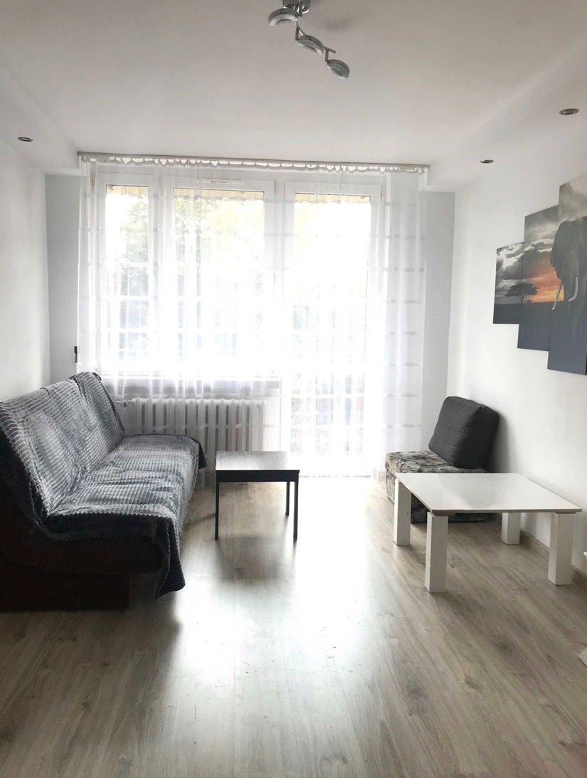 Jasne wnętrze pokoju dziennego z panelami podłogowymi, szarą kanapą przykrytą pledem, dwoma stolikami kawowymi i obrazem z motywem afrykańskim na ścianie.