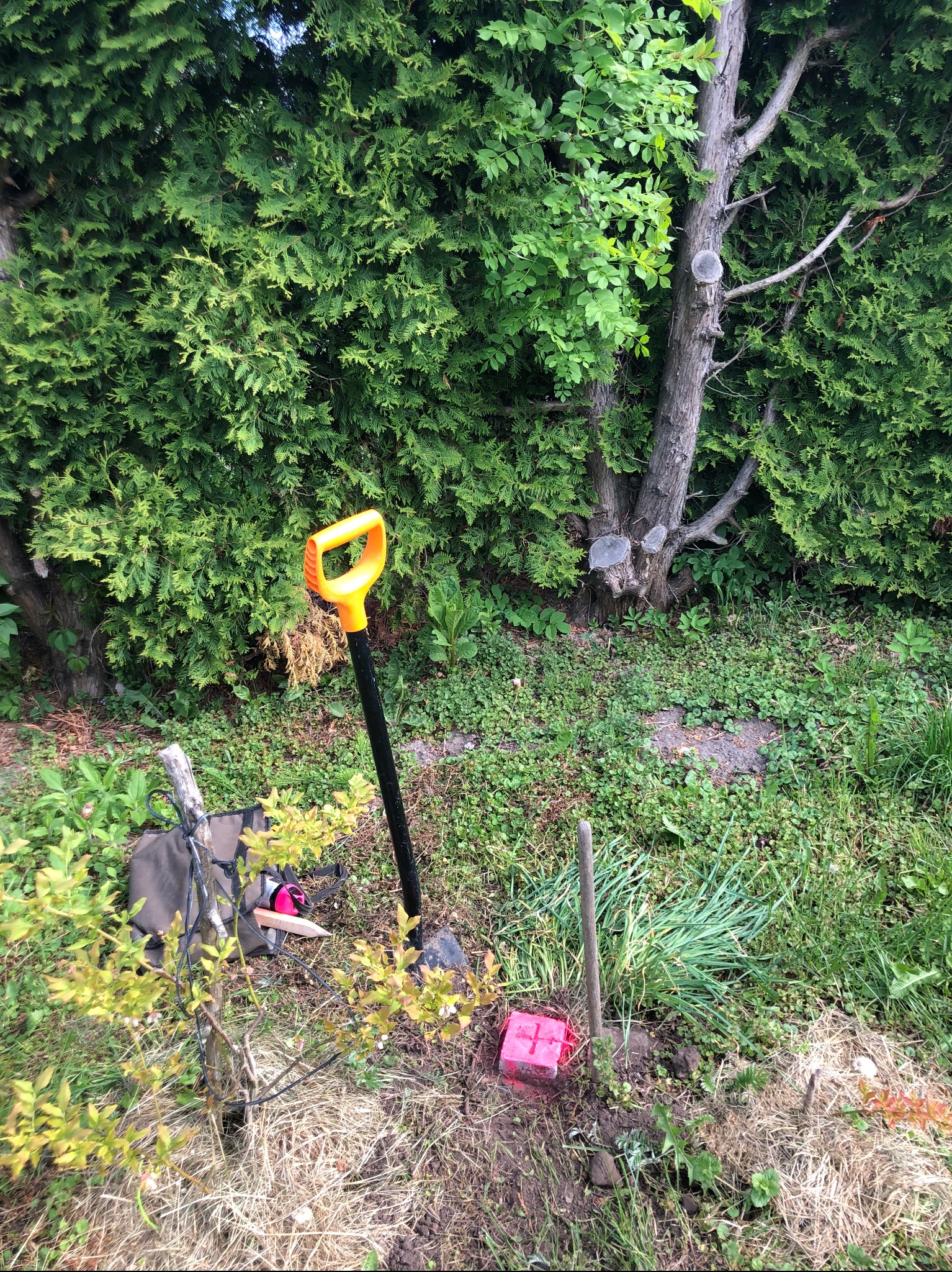 Sonda geodezyjna pomalowana na różowo wbita w ziemię obok łopaty z żółtym uchwytem, na tle zieleni. Widoczne narzędzia pomiarowe i torba. Prace terenowe.