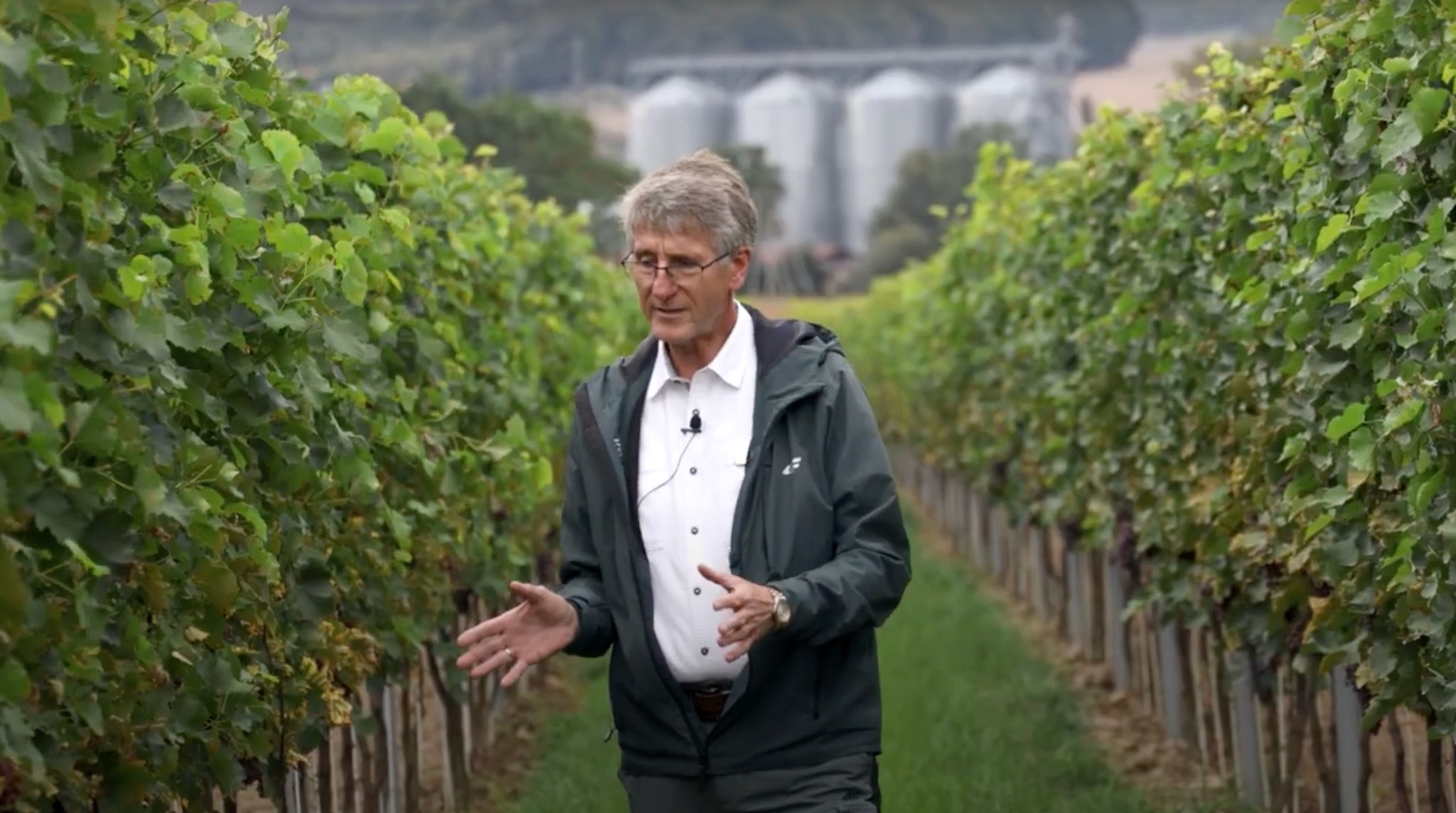 Mężczyzna w okularach i kurtce prezentuje winnicę w Lewinie Brzeskim, w tle silosy.