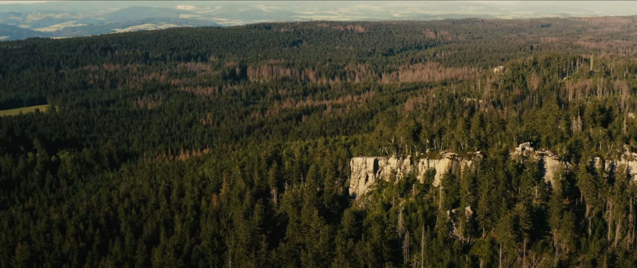 Szeroki kadr na zalesione wzgórza z widocznymi fragmentami uschniętych drzew, skalistym klifem i odległymi pasmami gór.
