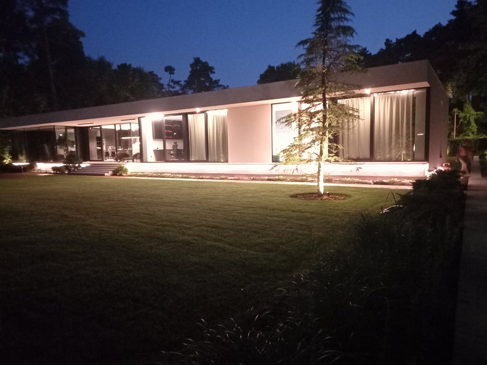 Nowoczesny, parterowy dom z płaskim dachem, oświetlony nocą, z dużymi oknami i zadbanym trawnikiem, drzewo iglaste z podświetleniem punktowym.