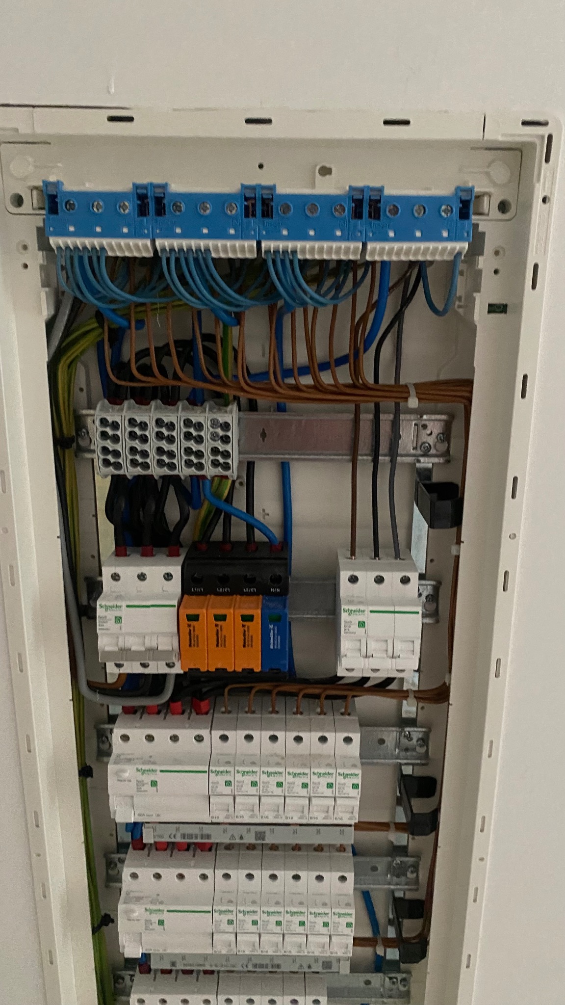 Wnętrze rozdzielnicy elektrycznej z licznymi przewodami, zabezpieczeniami i listwami zaciskowymi, widoczne bezpieczniki firmy Schneider Electric.