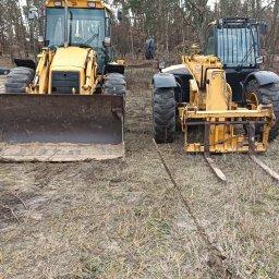 Wycinka drzew Kobylarnia 1