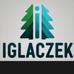 "iglaczek" Pielęgnacja Terenów Zieleni - Maciej Walicki - Profesjonalna Budowa Ogrodów Przemyśl