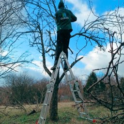 "iglaczek" Pielęgnacja Terenów Zieleni - Maciej Walicki - Wyjątkowe Projektowanie Ogrodów Przemyśl