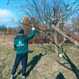 Koszenie trawy Przemyśl 4