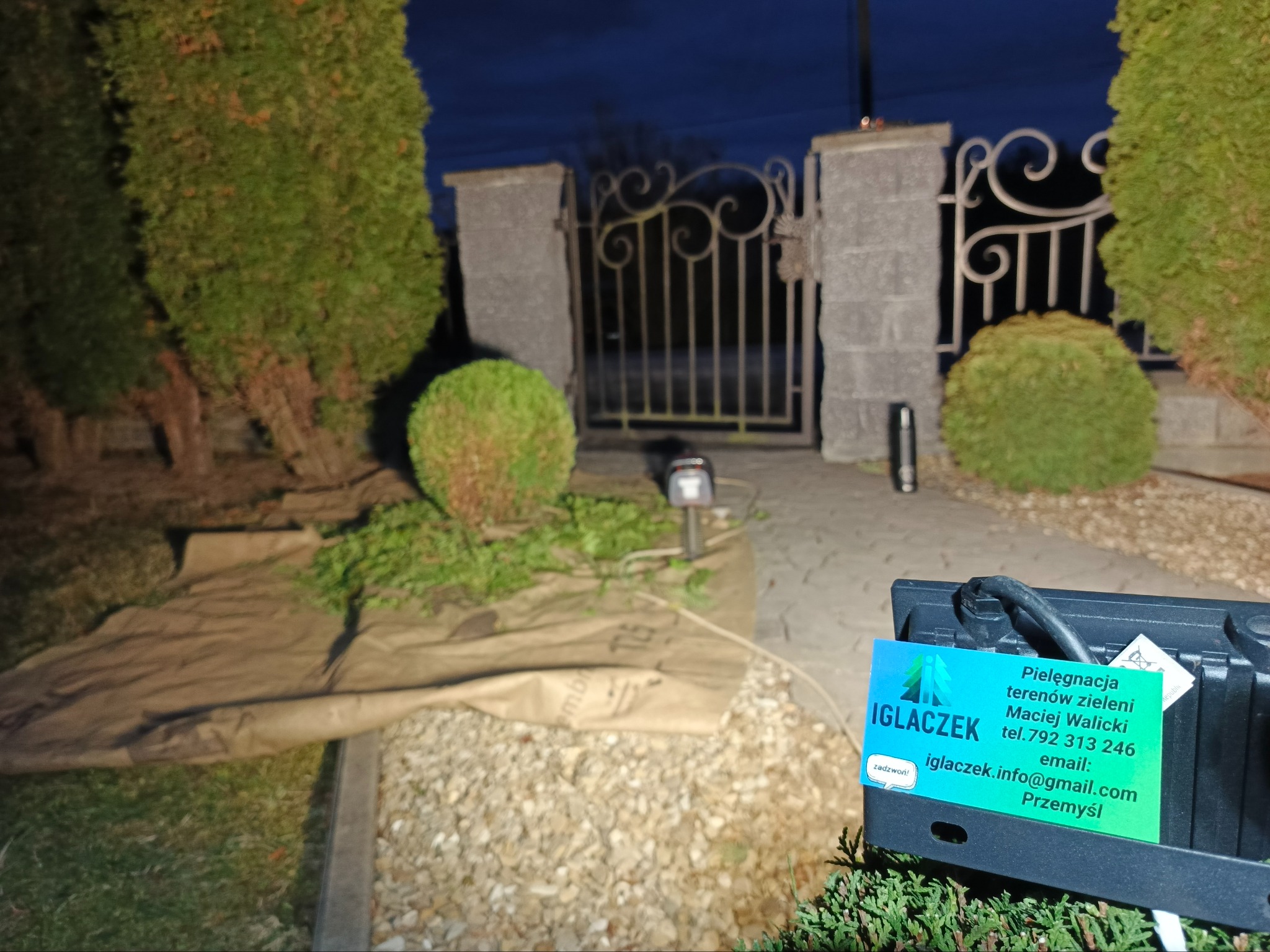 Wizytówka firmy pielęgnującej tereny zieleni Iglaczek na tle ogrodu z podłożem wyłożonym materiałem, kulistymi krzewami i ozdobną bramą w tle, zdjęcie zrobione wieczorem.
