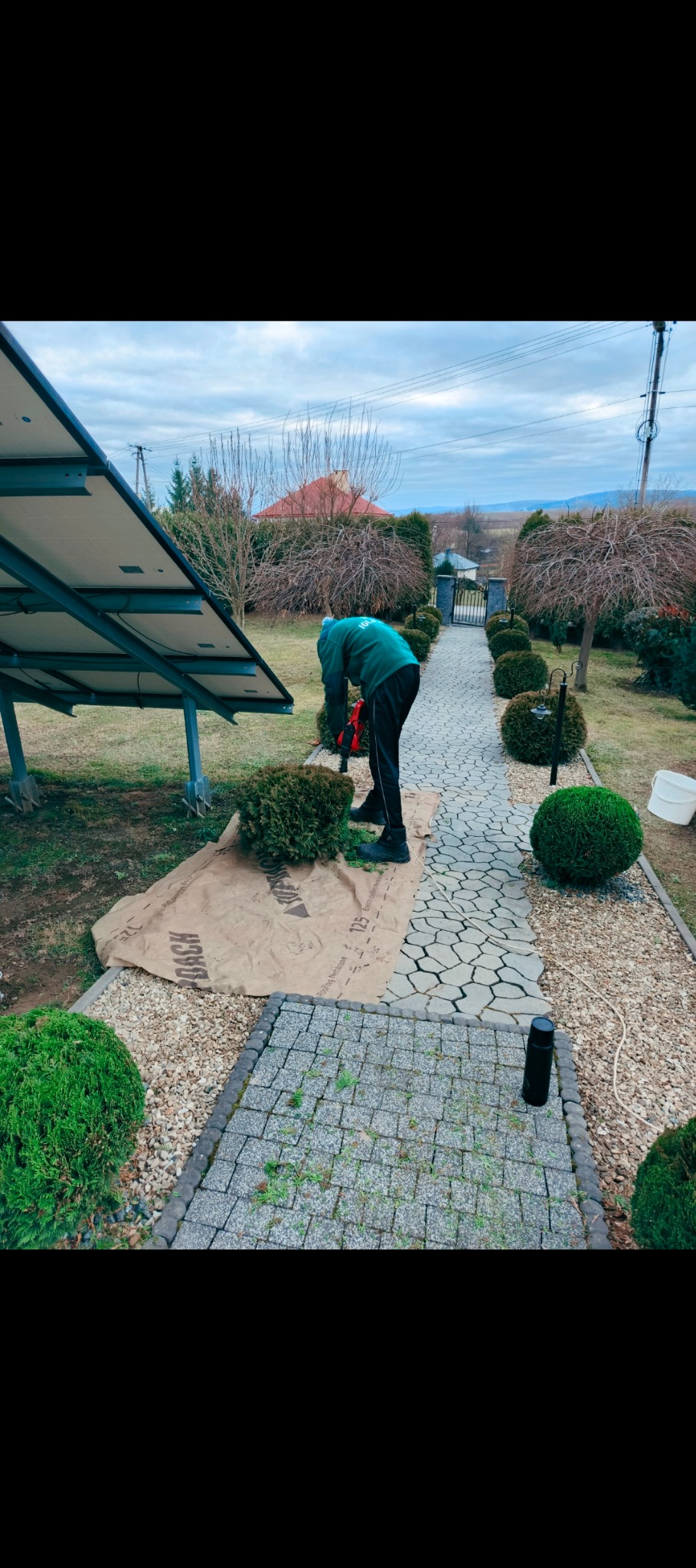 Pracownik w zielonej bluzie formuje krzew ozdobny w ogrodzie, zabezpieczony brązową płachtą, z widocznym panelem słonecznym i ścieżką z kostki.