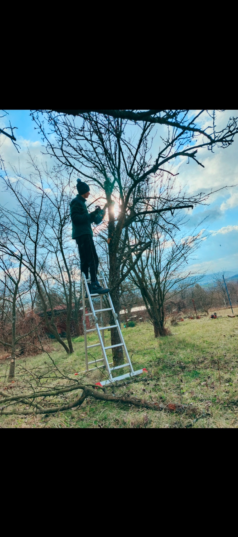 Mężczyzna w czapce i kurtce stoi na aluminiowej drabinie i przycina gałęzie drzewa w słoneczny dzień, w tle widoczny krajobraz z domem i wzgórzami.