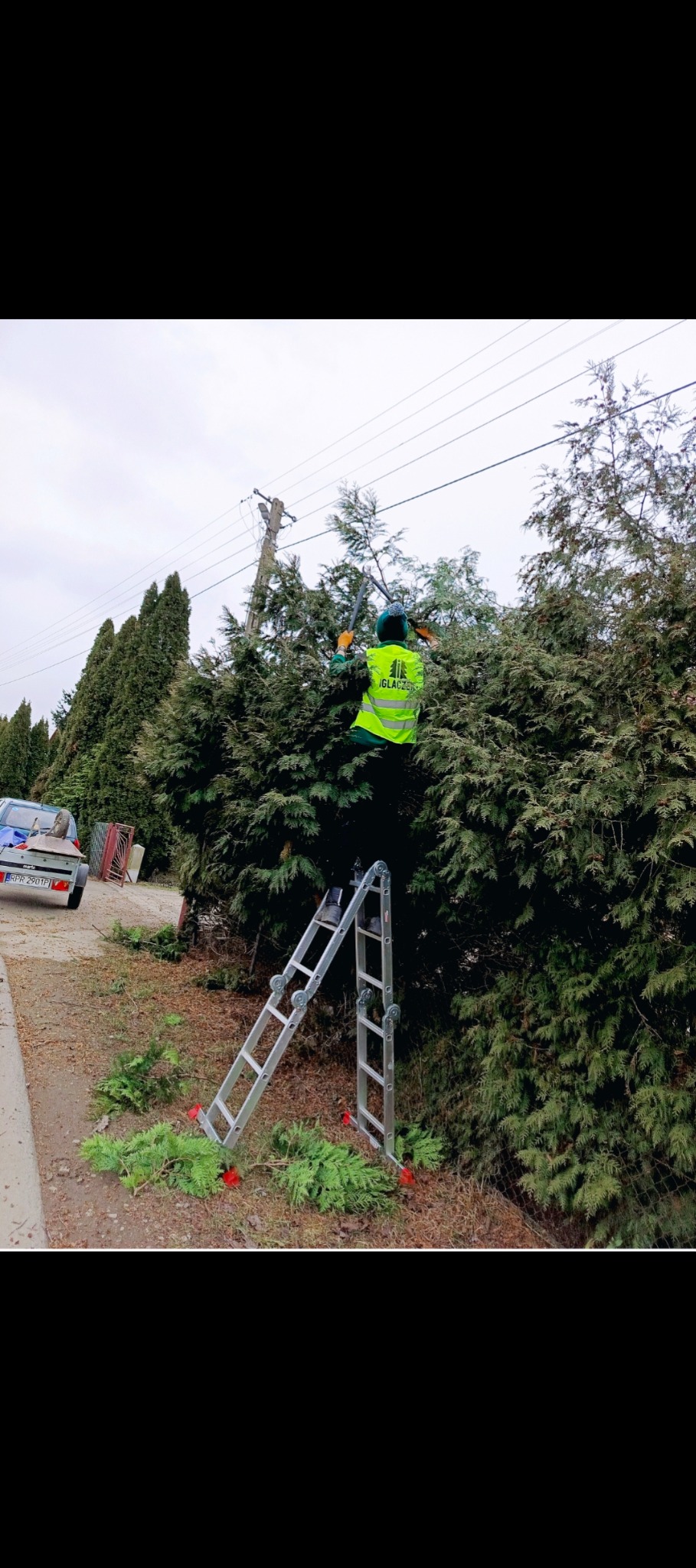 Pracownik w odblaskowej kamizelce, stojący na drabinie, przycina żywopłot w Przemyślu. W tle widoczny słup energetyczny i zaparkowany samochód z przyczepką.