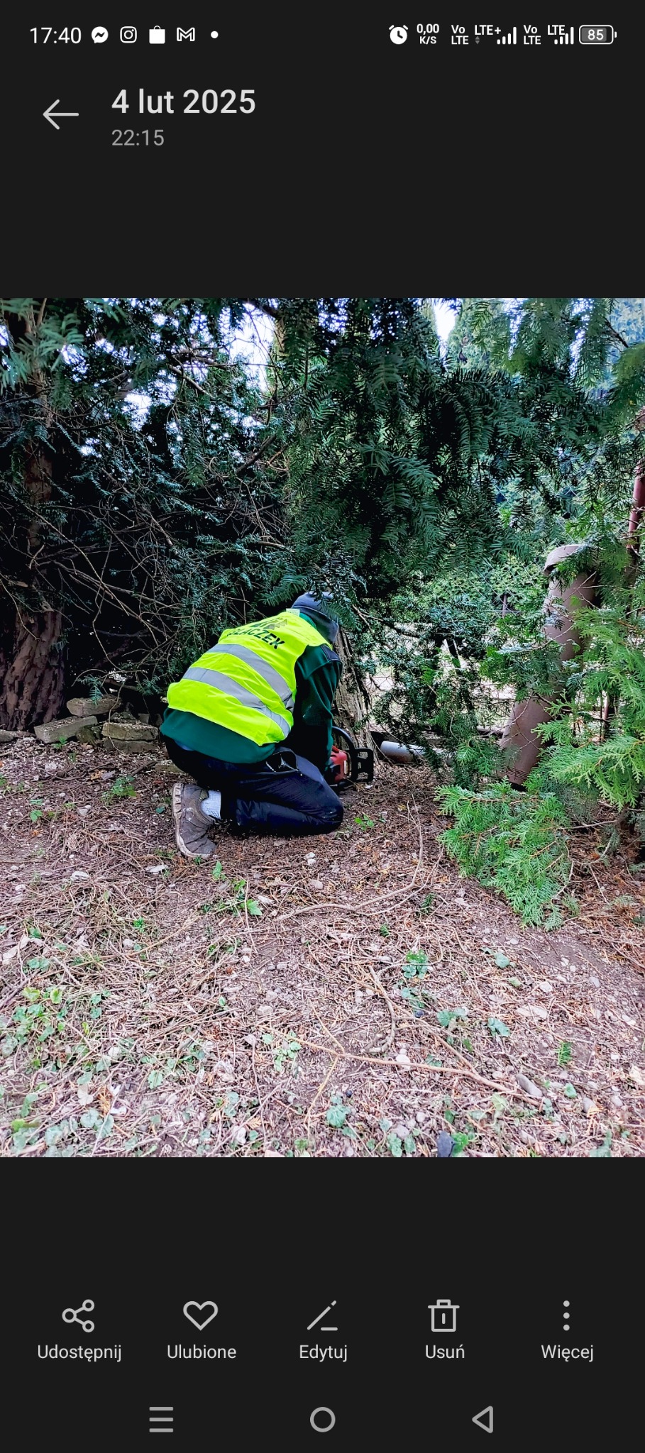 Pracownik w zielonej kurtce i żółtej kamizelce odblaskowej przycina gałęzie drzewa za pomocą piły łańcuchowej, wykonując prace ogrodnicze.