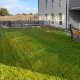 Sprzątanie biur Gdańsk 1