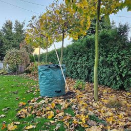 Usługi ogrodnicze Trzeciak Jakub - Worek na liście, grabie oparte o drzewo na trawniku zasypanym jesiennymi liśćmi, w tle starannie utrzymany żywopłot i drzewa.