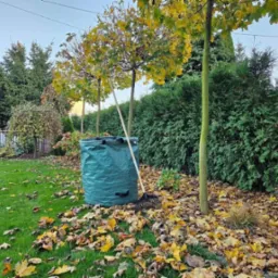 Worek na liście, grabie oparte o drzewo na trawniku zasypanym jesiennymi liśćmi, w tle starannie utrzymany żywopłot i drzewa.