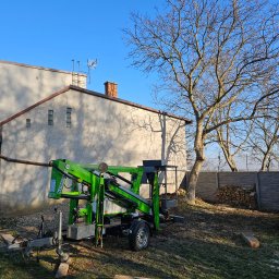 Usługi ogrodnicze Trzeciak Jakub - Wyjątkowe Nasadzanie Drzew Lubliniec