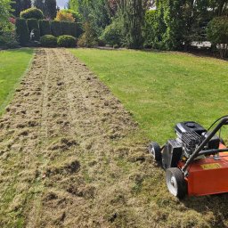 Wycinka drzew Lubsza 1