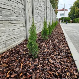 Wycinka drzew Lubsza 2