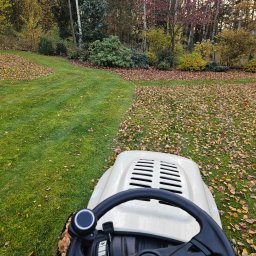 Wycinka drzew Lubsza 4