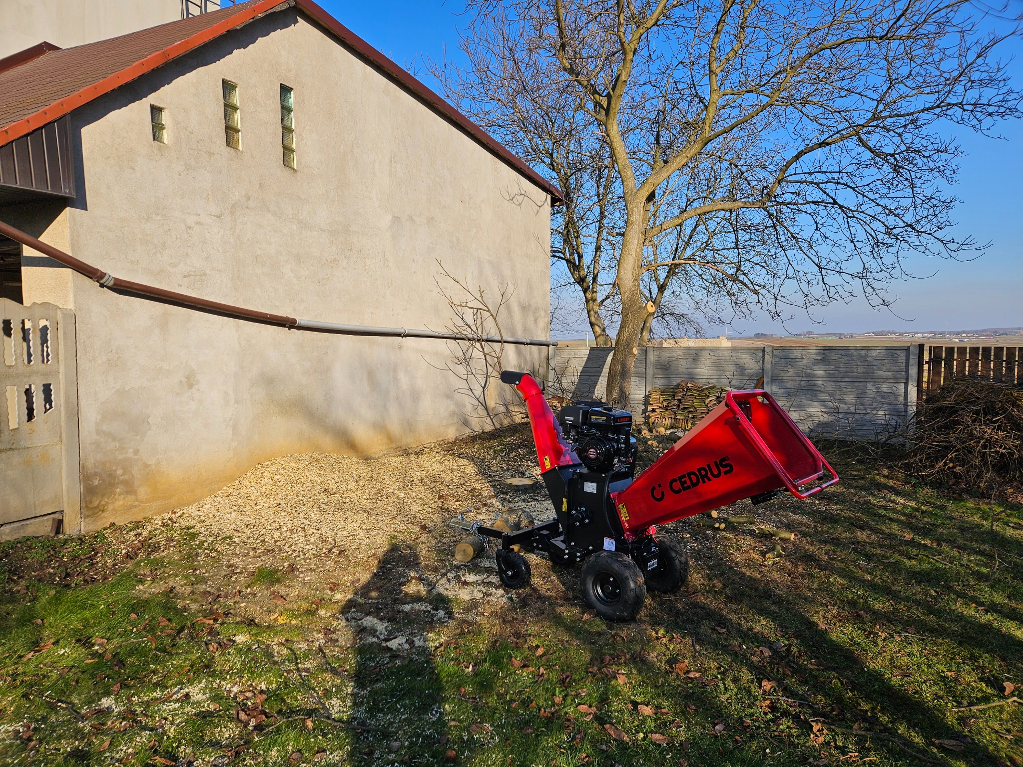 Czerwony rębak do gałęzi marki Cedrus stoi na trawniku obok budynku z jasną elewacją i stertą zrębków, w tle widoczne drzewo bez liści i ogrodzenie.