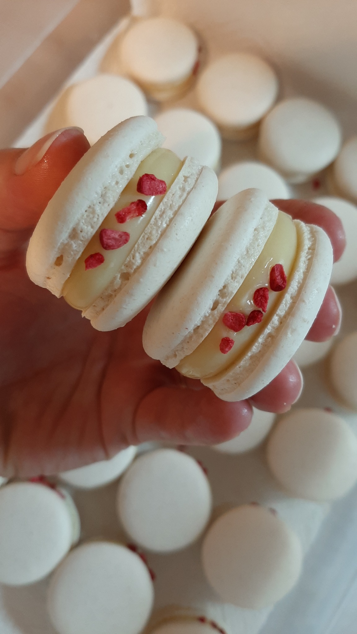 Dwa białe makaroniki z kremowym nadzieniem i posypką z czerwonych owoców w dłoni, w tle pudełko z innymi makaronikami.