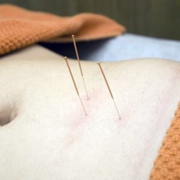 Rehabilitant Warszawa 2